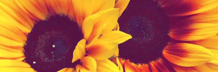 plain__xxx's profile banner image