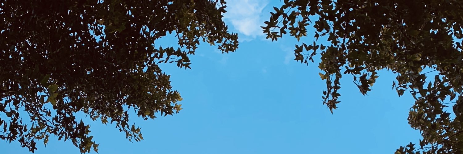 BeckChoutw's profile banner image