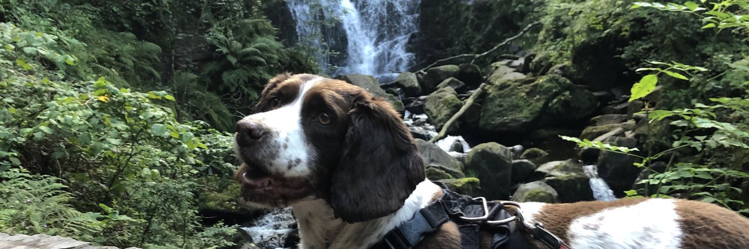 megwoods20's profile banner image