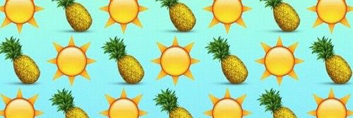 Piper banner