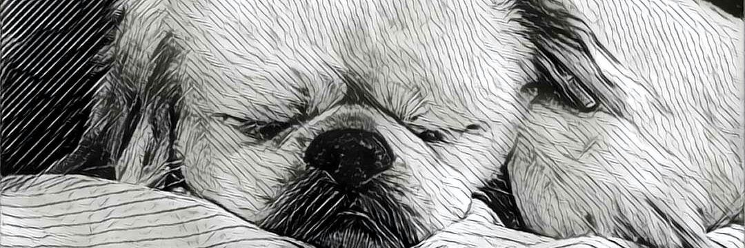 cHreSjB's profile banner image