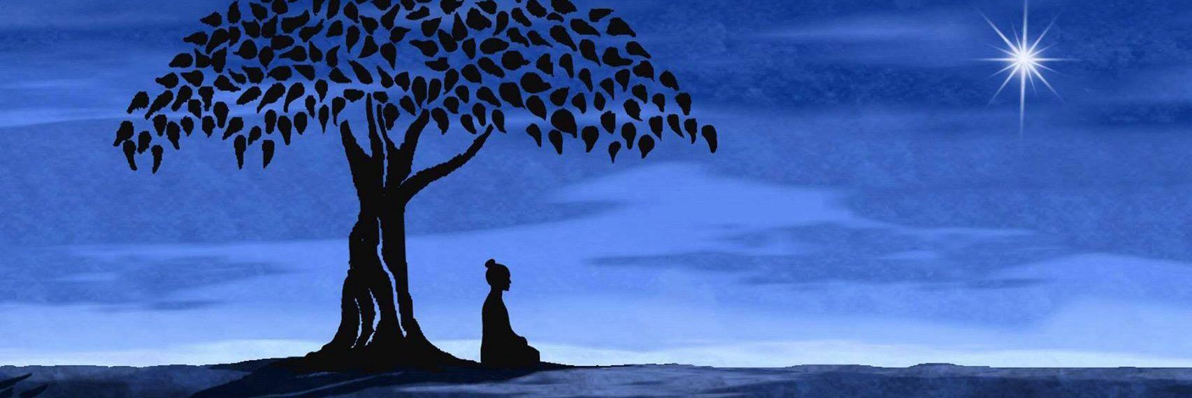 msvishnu1's profile banner image