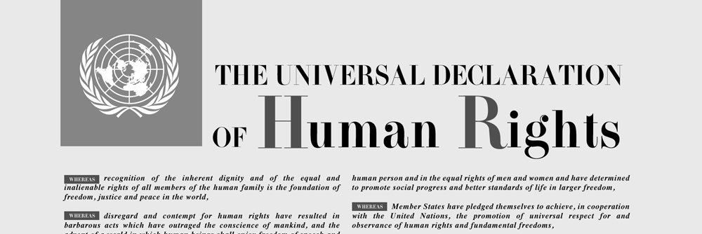 Dr. Shawna M. Brandle banner