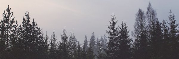 CJVickWrites Profile Banner