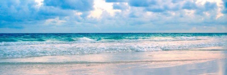 ‏الامل 🍯🕊️ banner