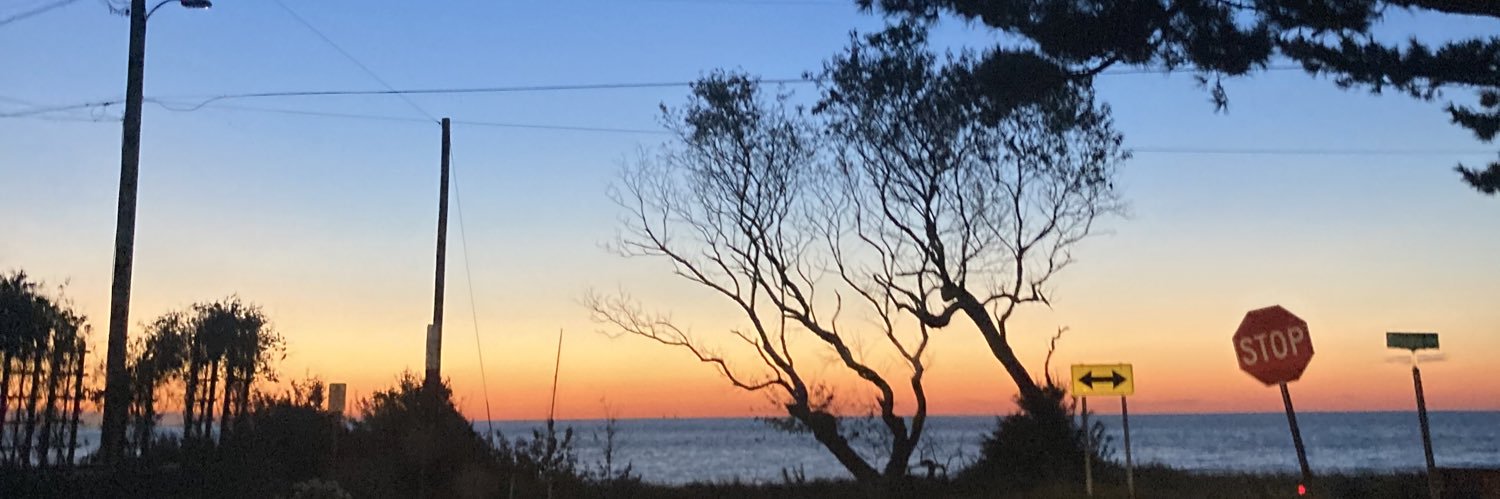 AMKowski11's profile banner image