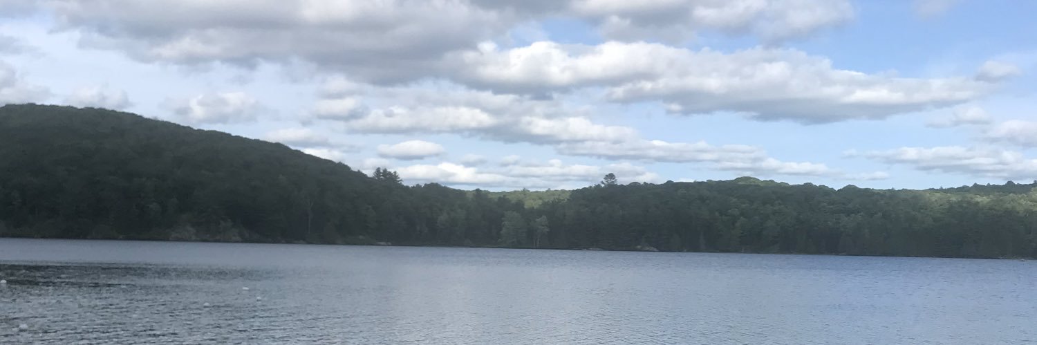 LC2319's profile banner image