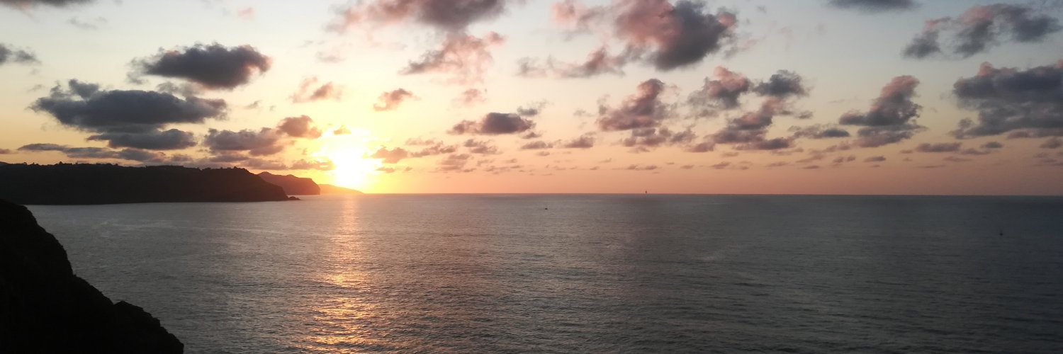 anarocio98's profile banner image
