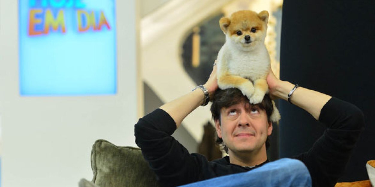 pacocadog's profile banner image