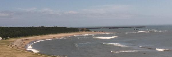 CatchinTiny Profile Banner