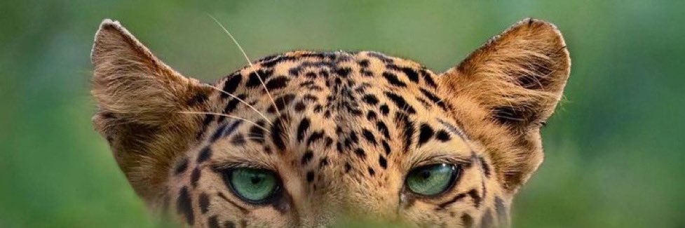 Caioo_ba's profile banner image