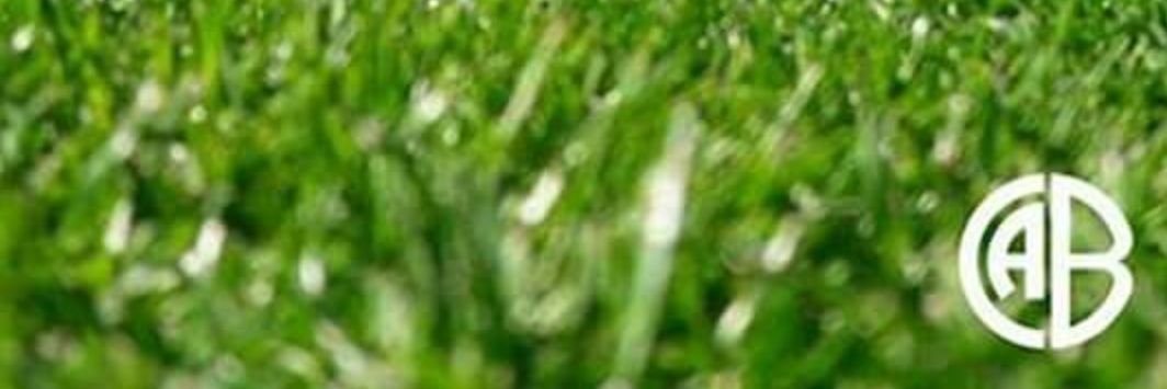 Nahuu_Cab's profile banner image