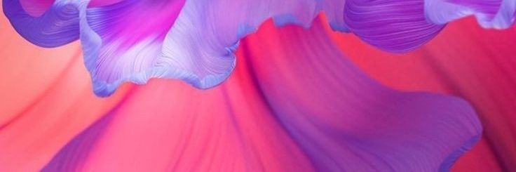 areej8aa's profile banner image