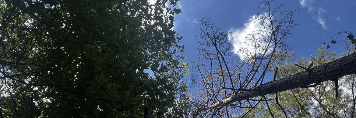 thelukelegate's profile banner image