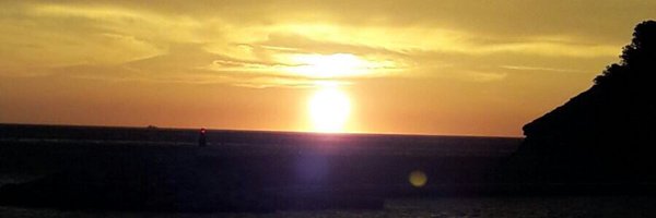 AnnaOlis Profile Banner