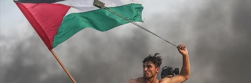 DisplacedGenius banner