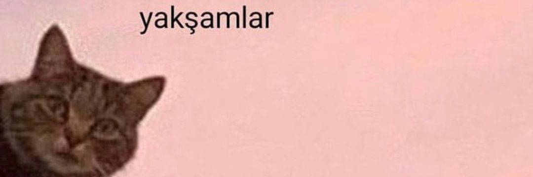 erayhan_'s profile banner image