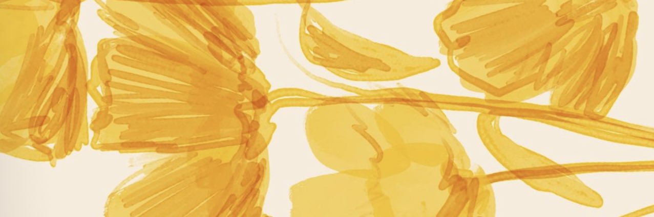 sam_bischof's profile banner image