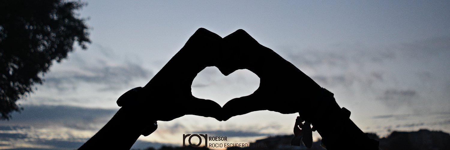 rociescu's profile banner image