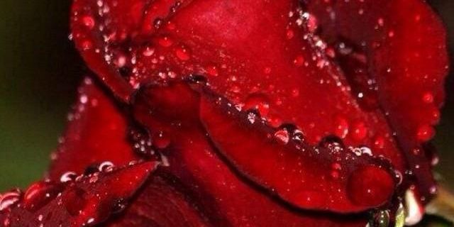 ROOZ_JF's profile banner image