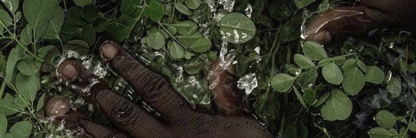 conceptual other banner