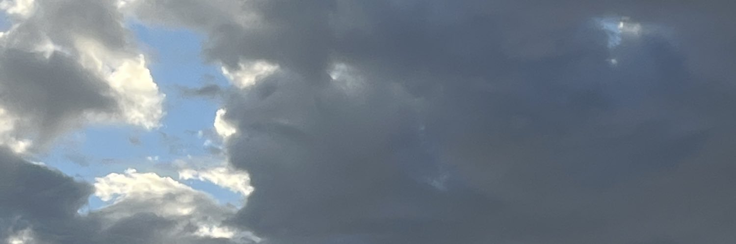 GerardoM0nreal's profile banner image