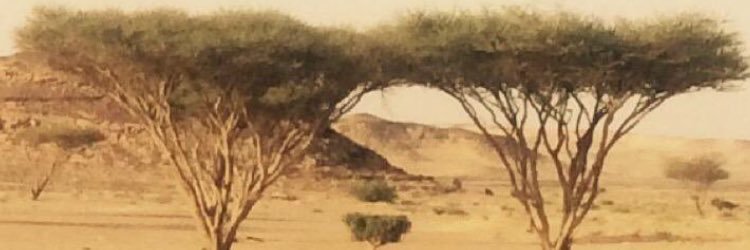 ALHAMAL123's profile banner image
