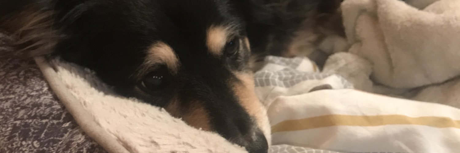 _moose97's profile banner image