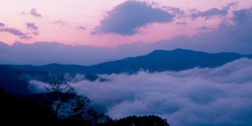 xashleytran's profile banner image