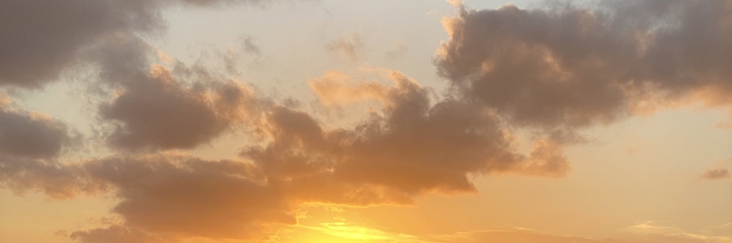 annied202's profile banner image
