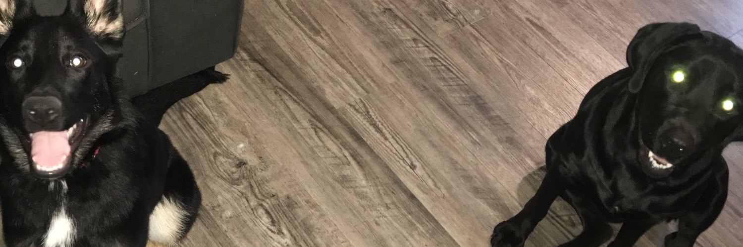hayleehubert's profile banner image
