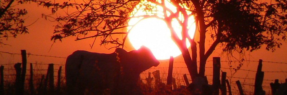MiriamH31's profile banner image