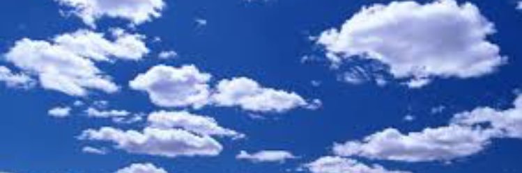amber_1339's profile banner image