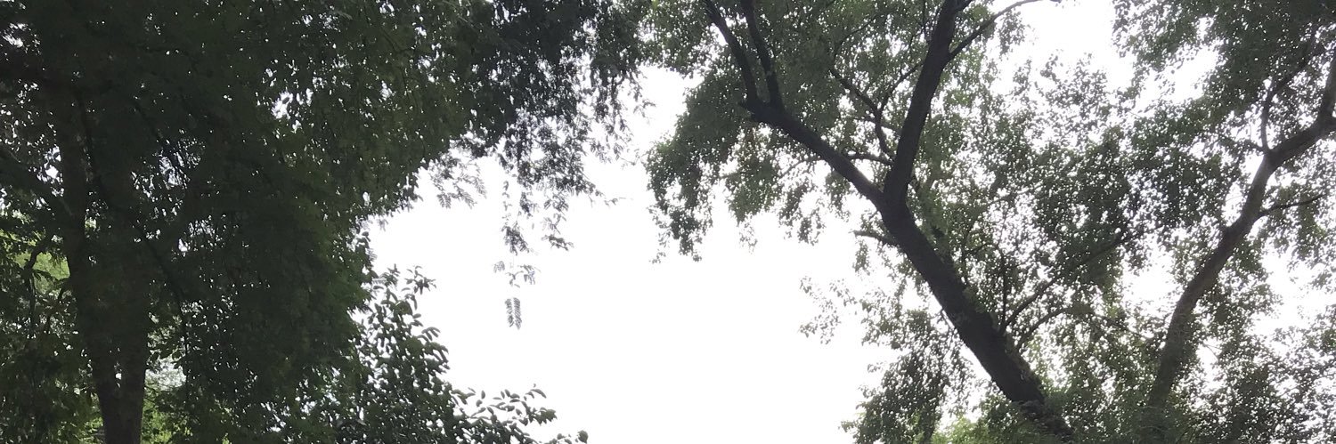 Tausif K. banner