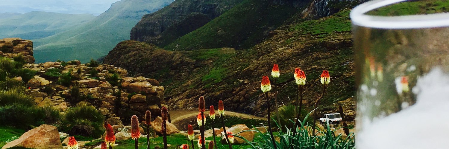 David Scott 🇿🇦 banner