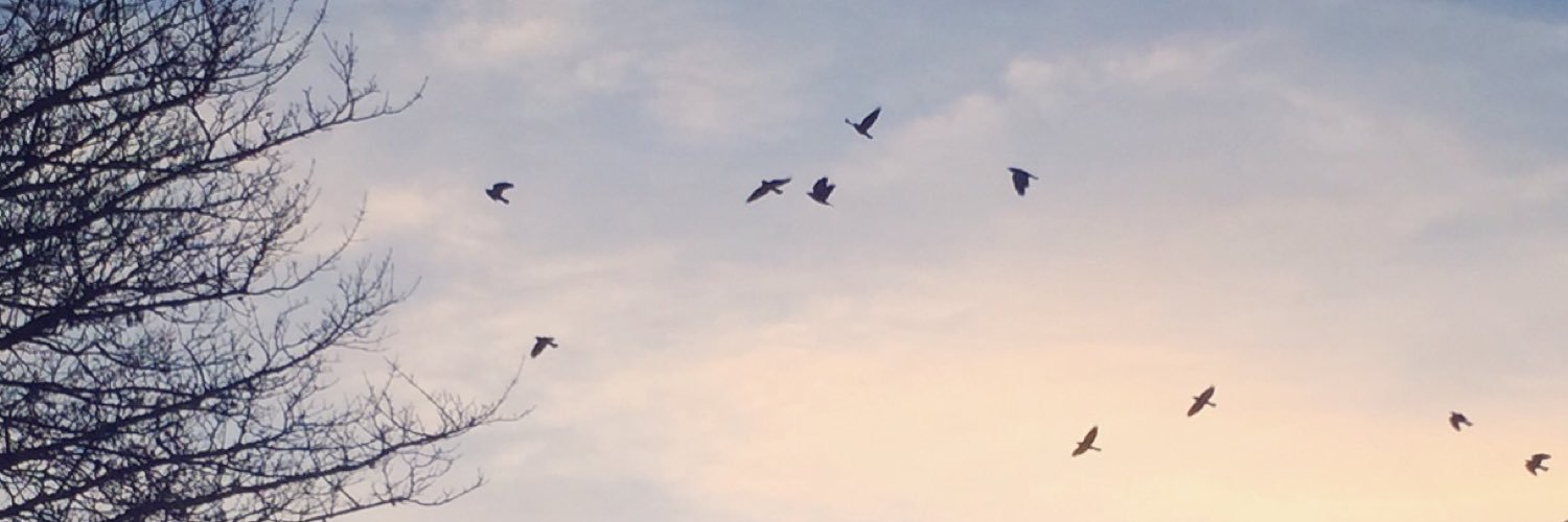 Farming Ireland banner