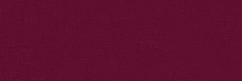 seba banner