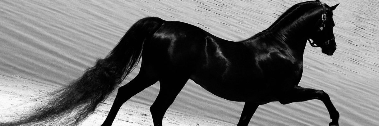 _7anan__'s profile banner image