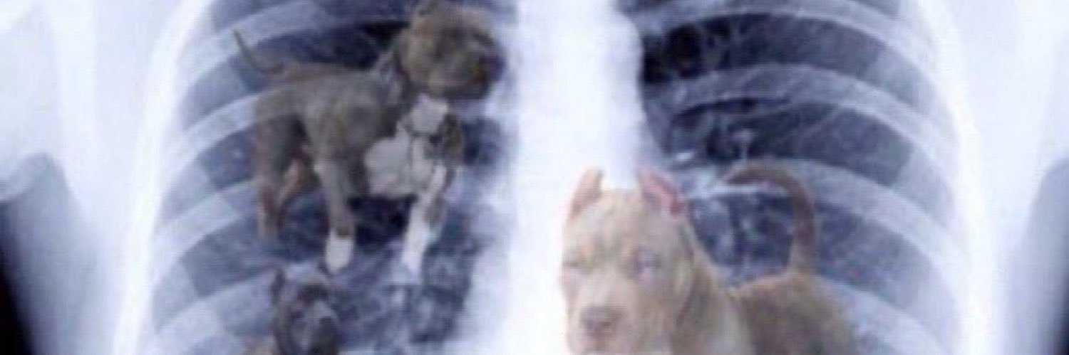 DylanHolley23's profile banner image