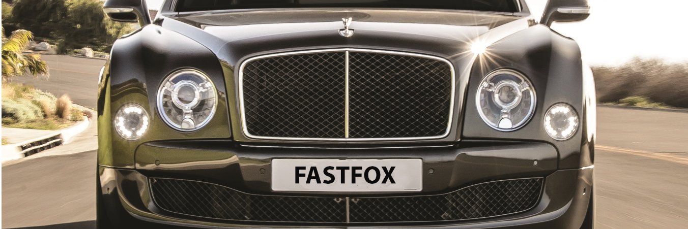 FastFoxAdam's profile banner image