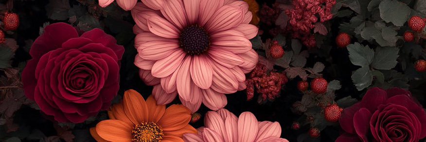 daniyah_smith's profile banner image