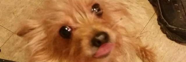 BaldwinArmanda's profile banner image