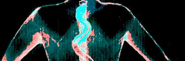 TeeAirRa_ Profile Banner