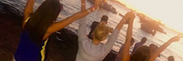 Holly Bradley ✨ banner