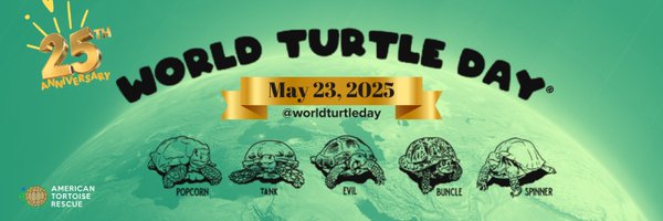 WorldTurtleDay Profile Banner