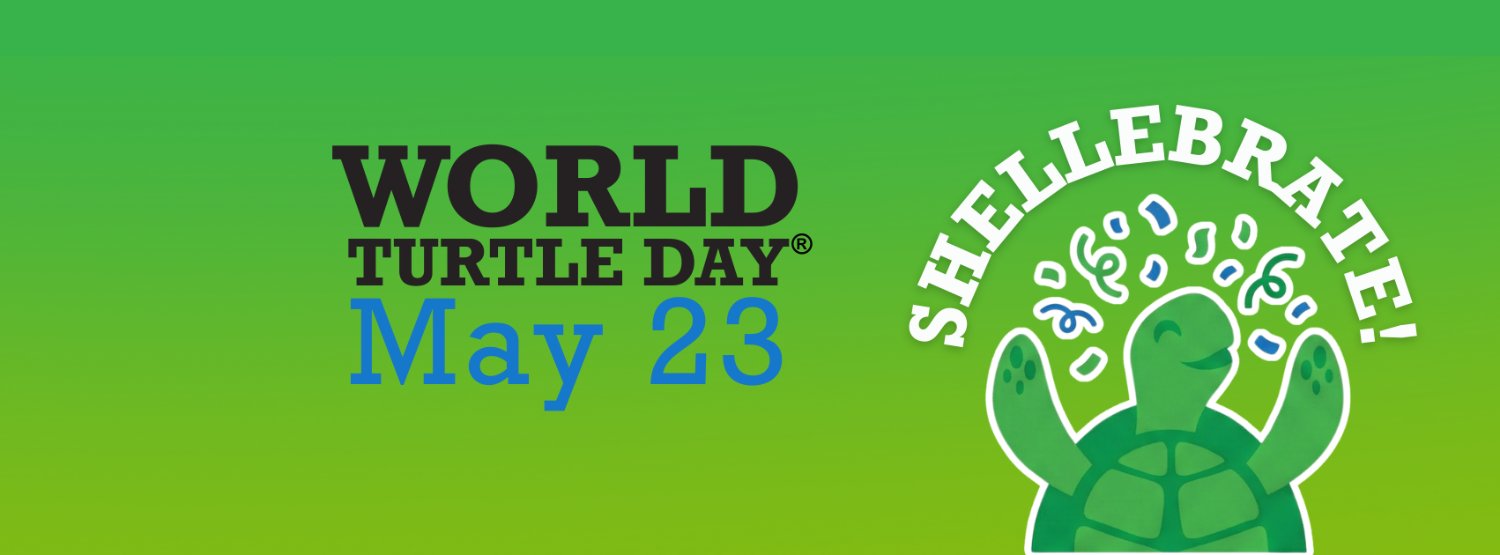 World Turtle Day® banner