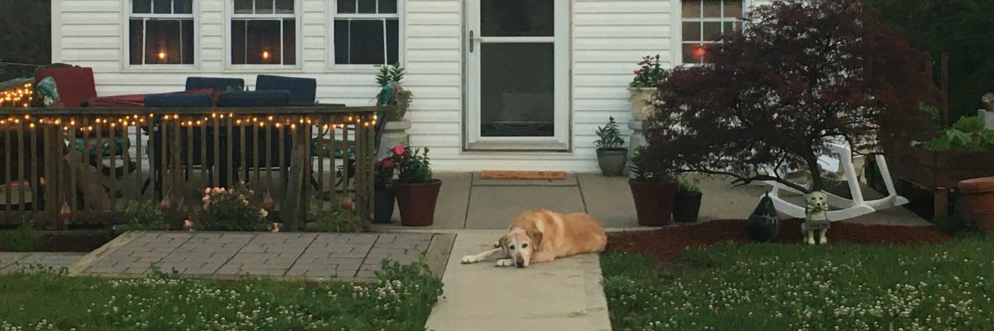 ⋆ Clarice ⋆ banner