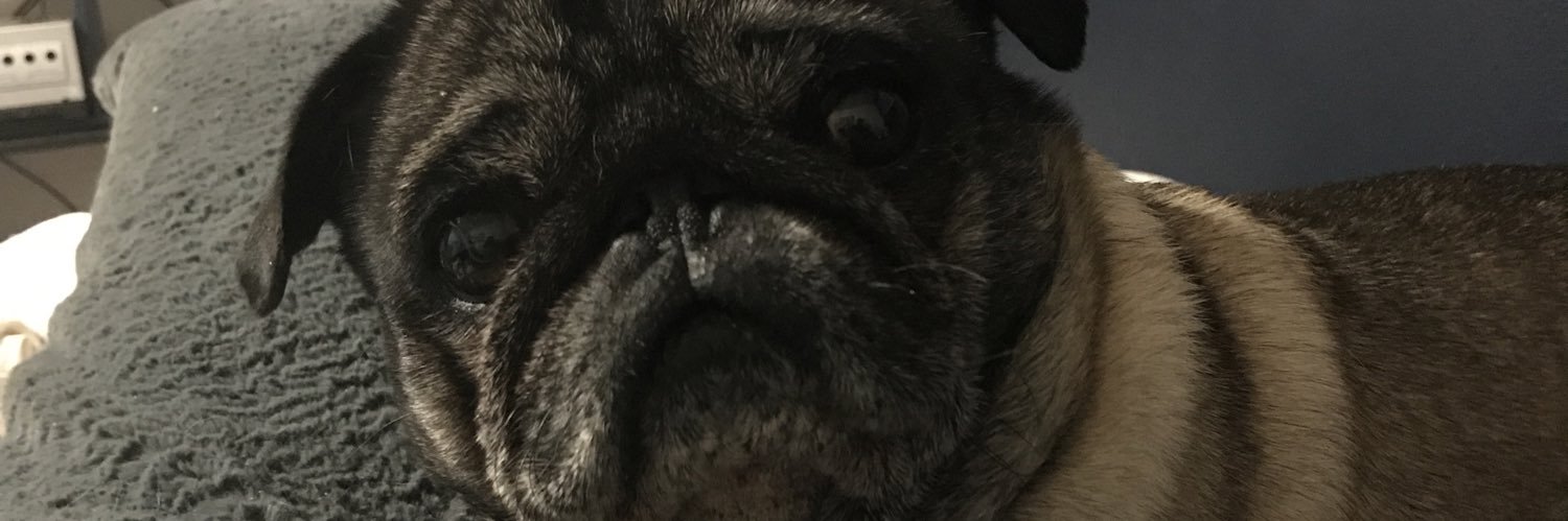 bskjothaug's profile banner image