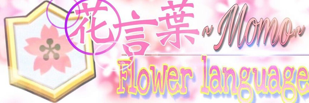 momo3sama's profile banner image