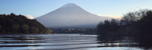 TomDove11 Profile Banner